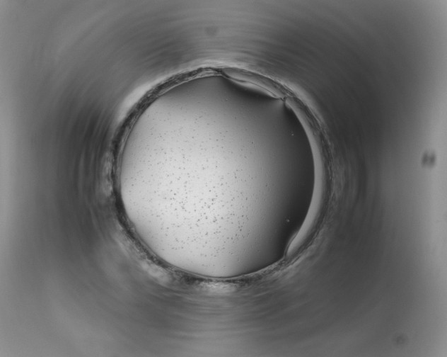 X0000113560878200910091412