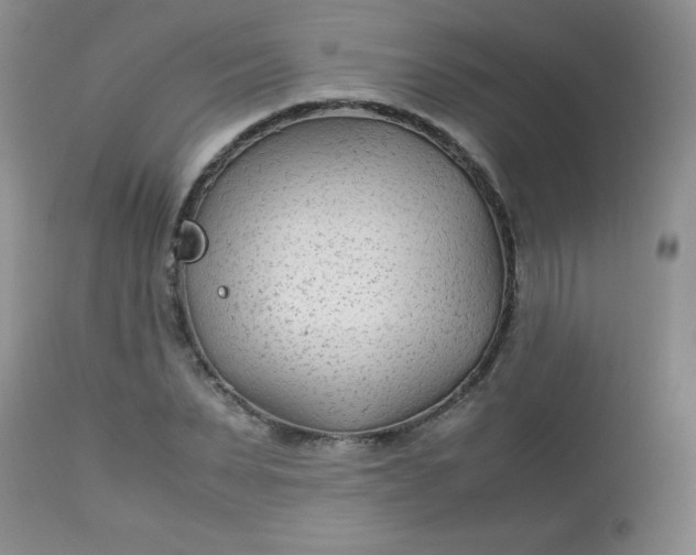 X0000113560879200910091412