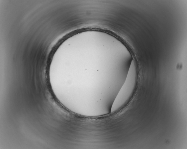 X0000113560880200910091412