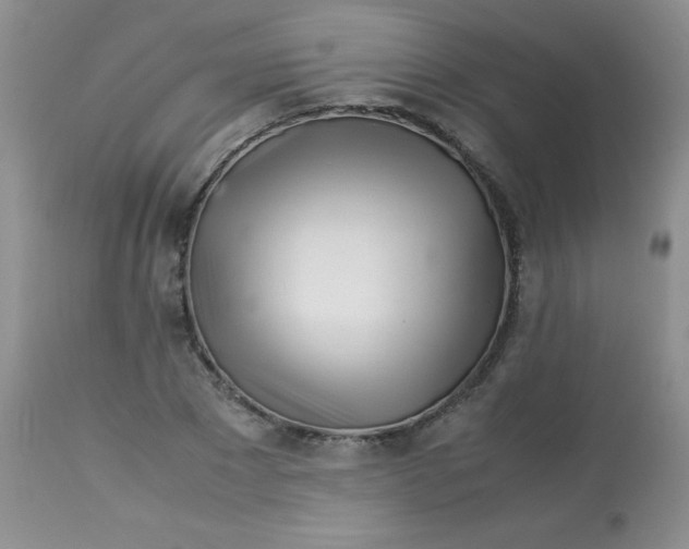 X0000113560881200910091412