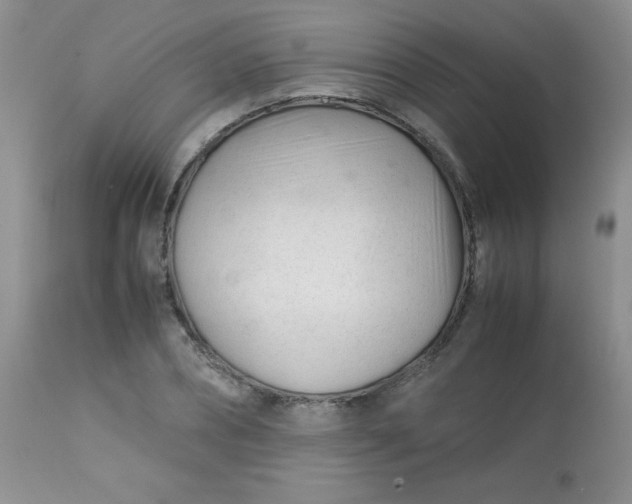 X0000113560882200910091412