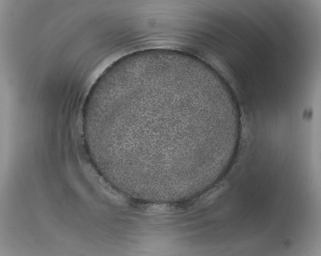 X0000113560883200910091412