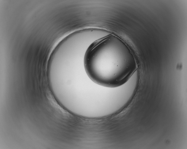 X0000113560884200910091412