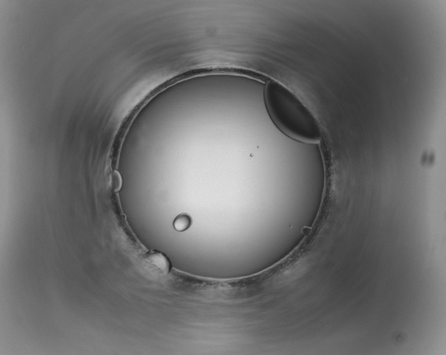 X0000113560885200910091412