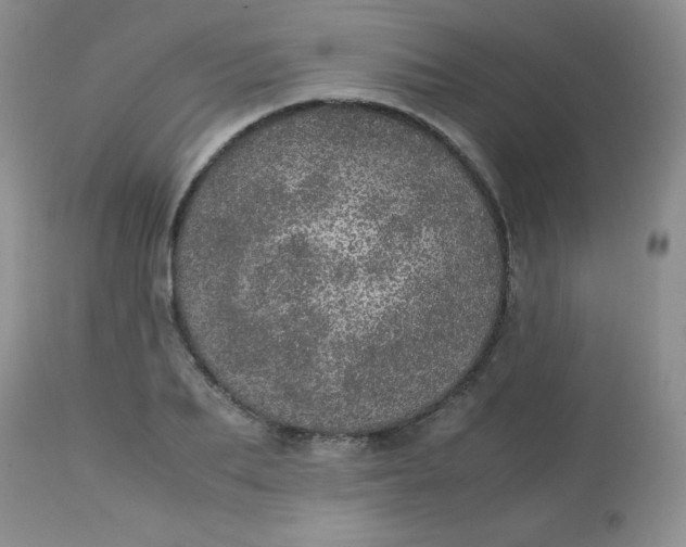 X0000113560887200910091412