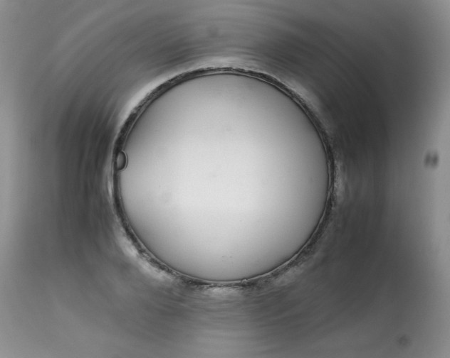 X0000113560888200910091412