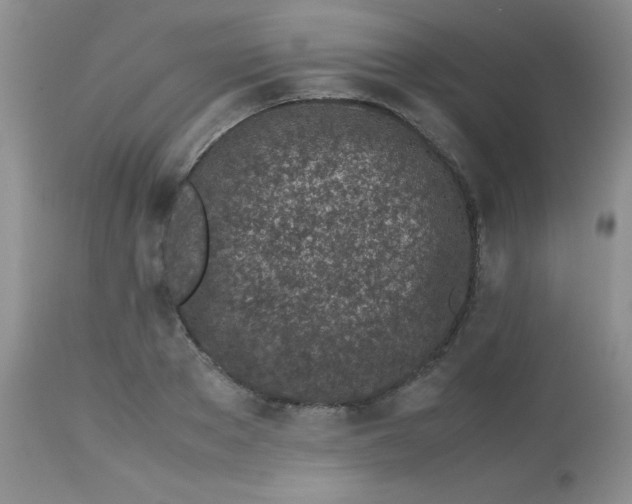 X0000113560889200910091412