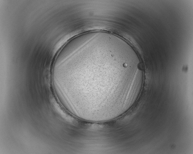 X0000113560890200910091412