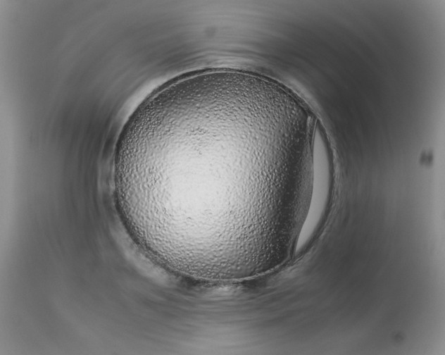 X0000113560891200910091412