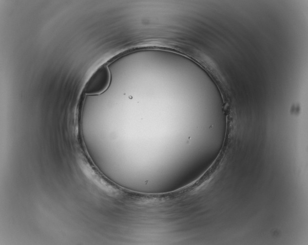 X0000113560892200910091412