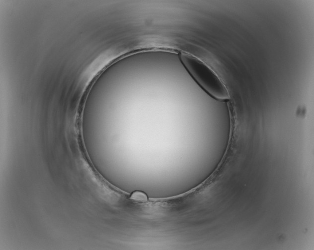 X0000113560893200910091412