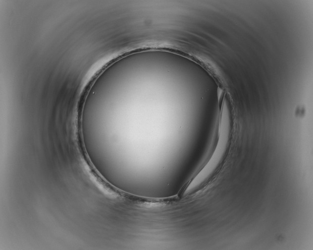 X0000113560894200910091412