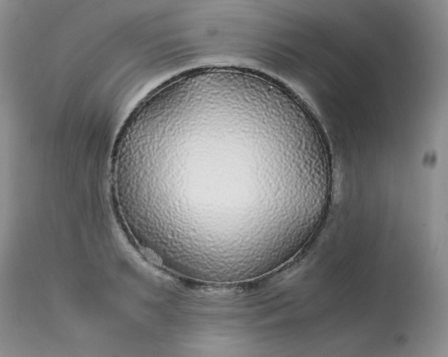 X0000113560895200910091412