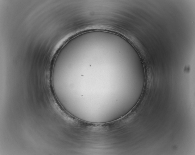 X0000113560896200910091412