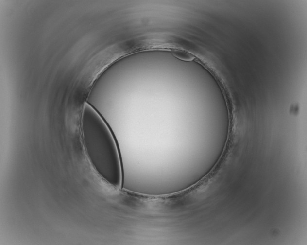 X0000113560897200910091412