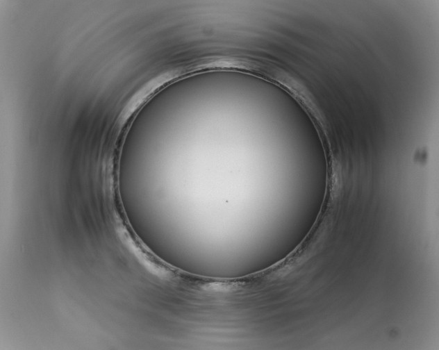 X0000113560898200910091412