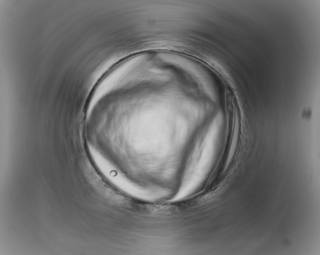 X0000113560899200910091412