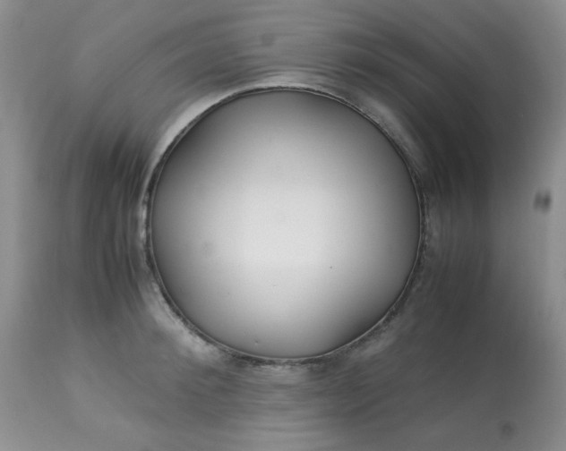 X0000113560900200910091412