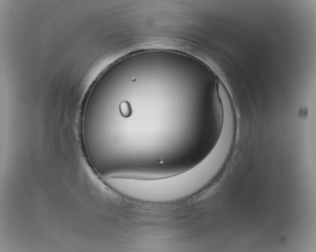 X0000113560901200910091412