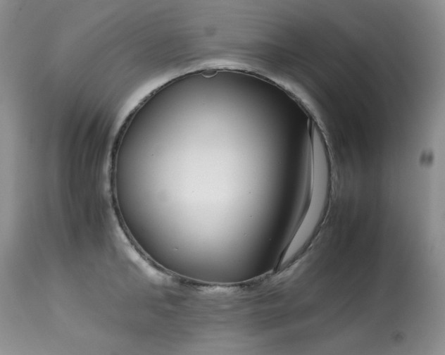 X0000113560902200910091412