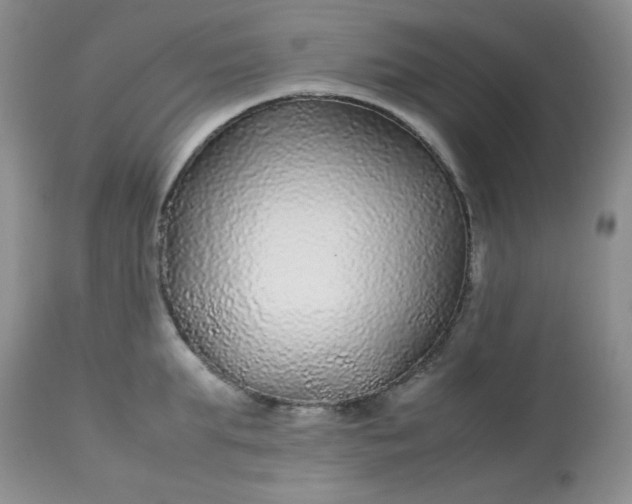 X0000113560903200910091412