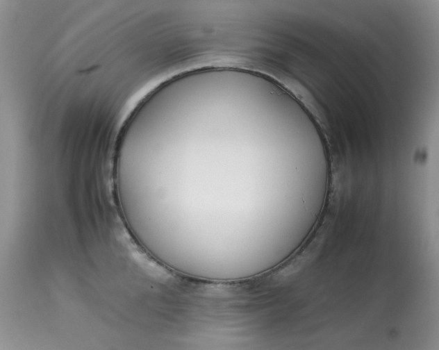 X0000113560904200910091412