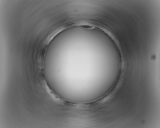 X0000113560905200910091412