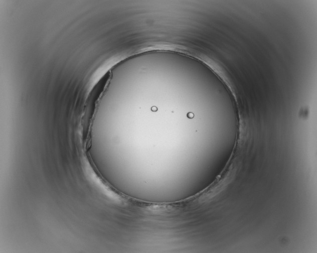 X0000113560906200910091412