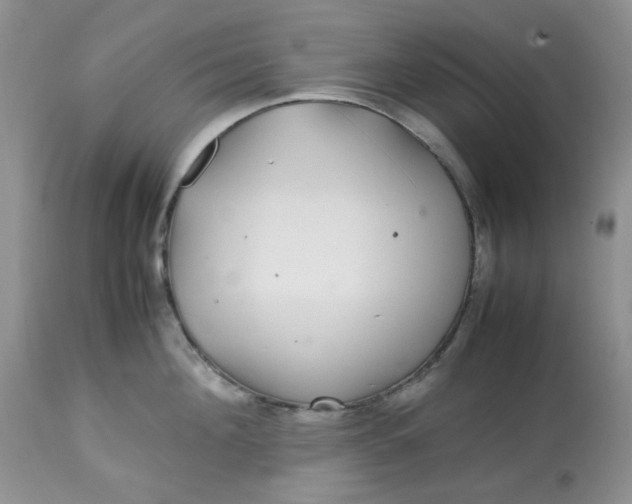 X0000113560908200910091412