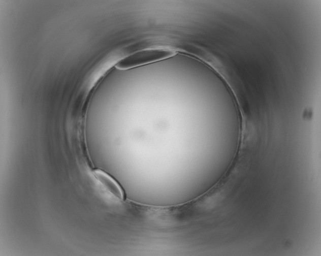 X0000113560909200910091412