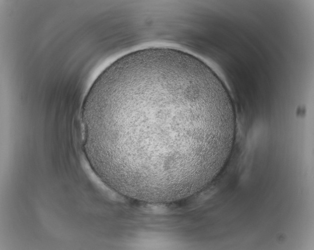 X0000113560911200910091412