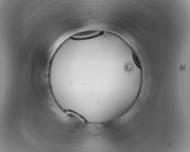 X0000113560912200910091412