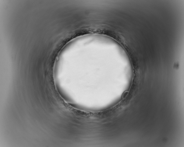 X0000113560913200910091411