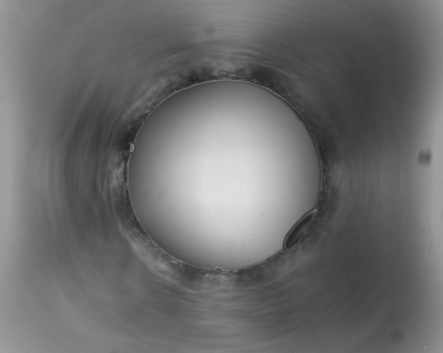 X0000113560914200910091411