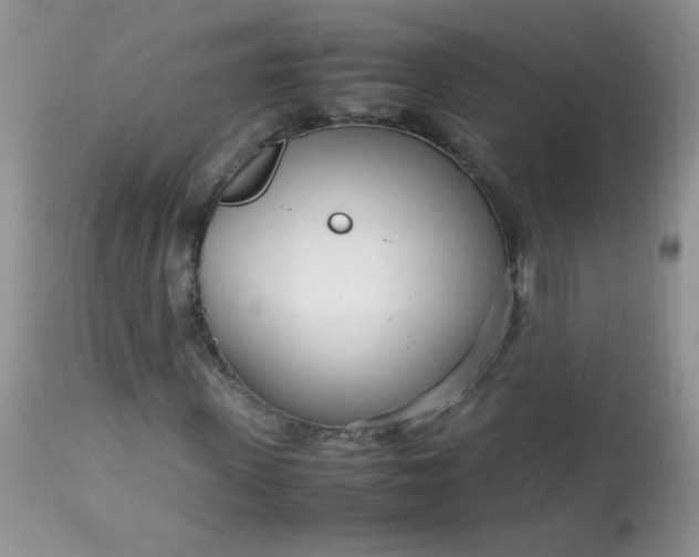 X0000113560915200910091411