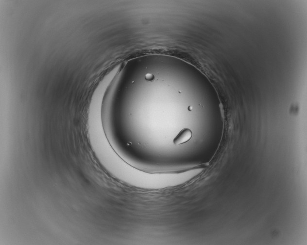 X0000113560916200910091411