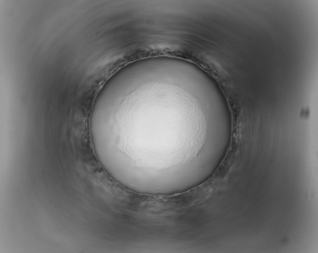 X0000113560917200910091411