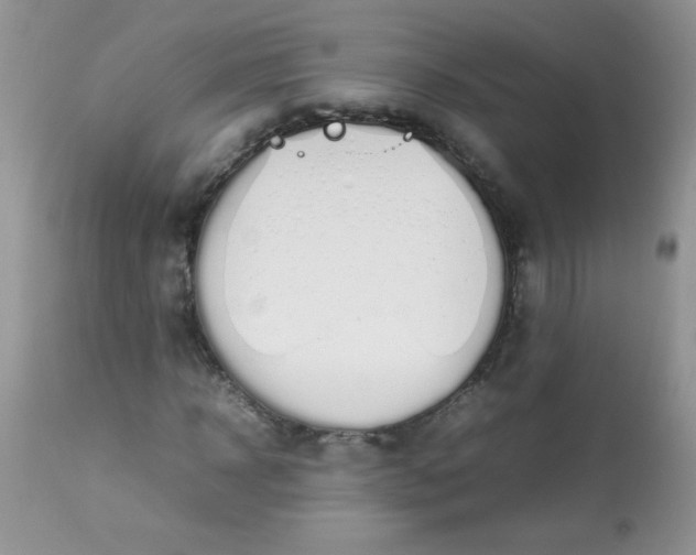 X0000113560918200910091411