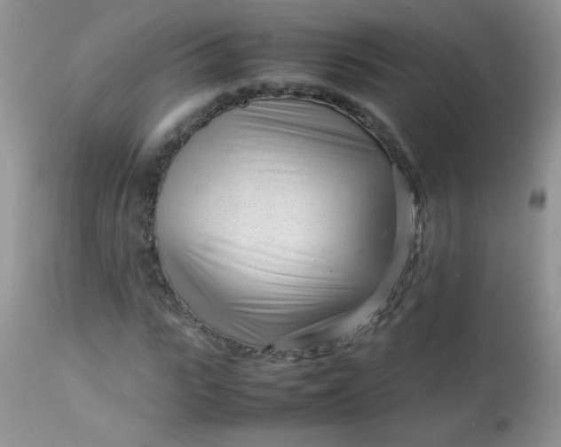 X0000113560919200910091411