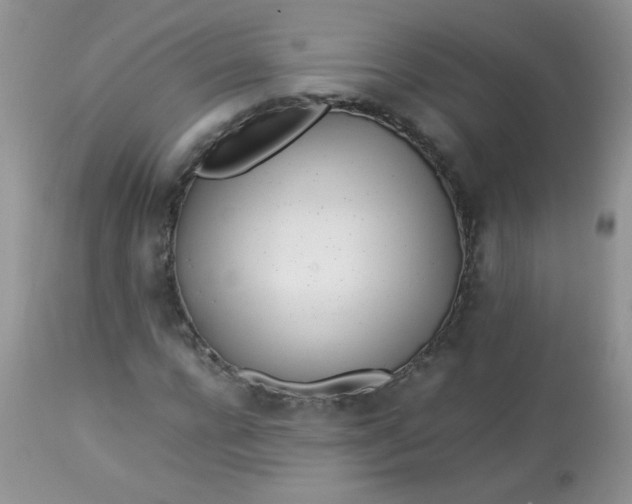 X0000113560920200910091411