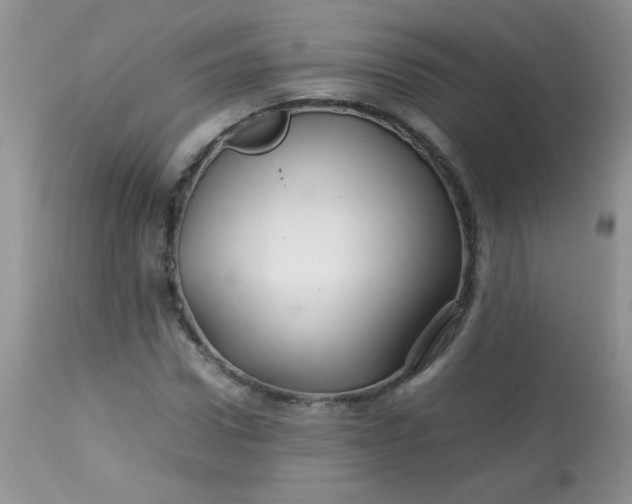 X0000113560922200910091411