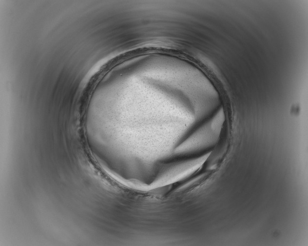 X0000113560923200910091411