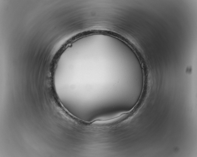 X0000113560926200910091411