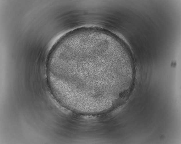 X0000113560927200910091411