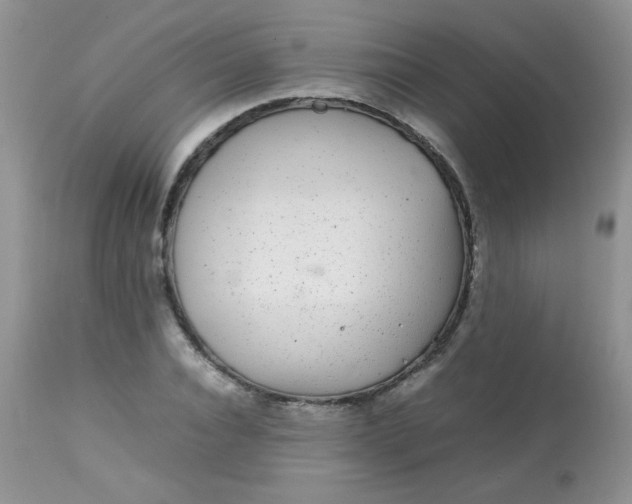 X0000113560928200910091411