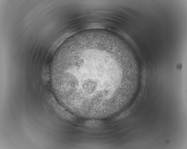 X0000113560929200910091411