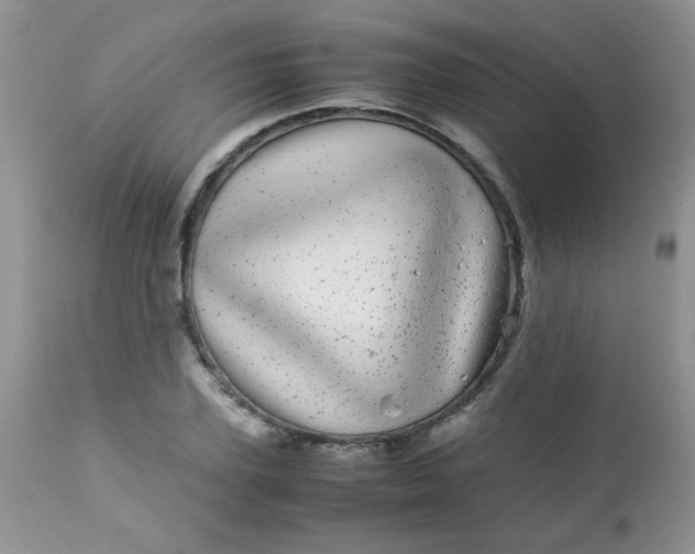 X0000113560931200910091411