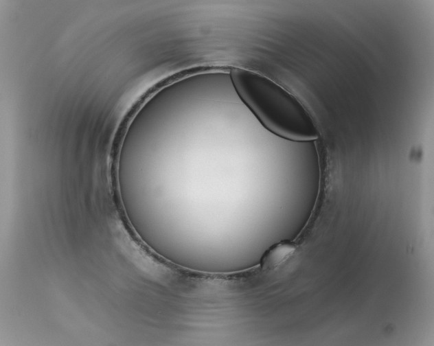 X0000113560932200910091411