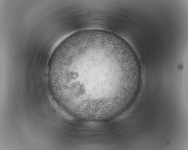 X0000113560933200910091411