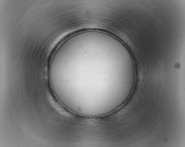 X0000113560934200910091411